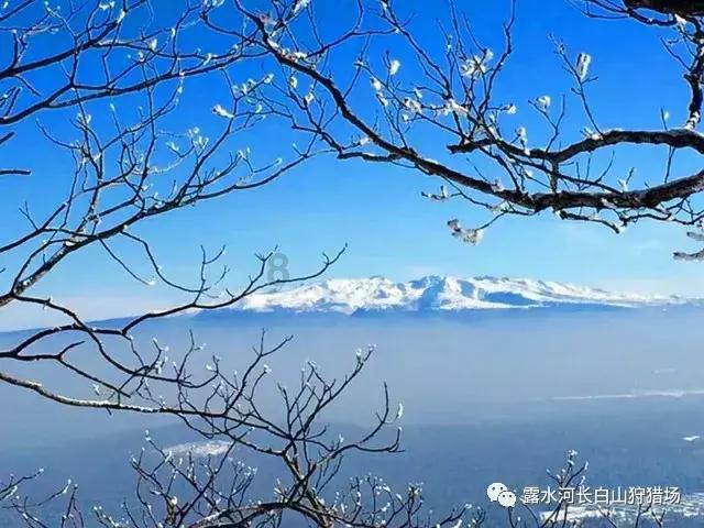 社区调解员“话疗”解决邻里纠纷